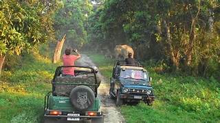 Manas Safari Tour
